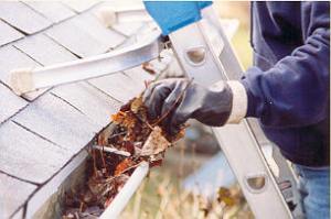 How to Clean Gutters 