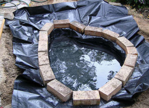 Building A Pond